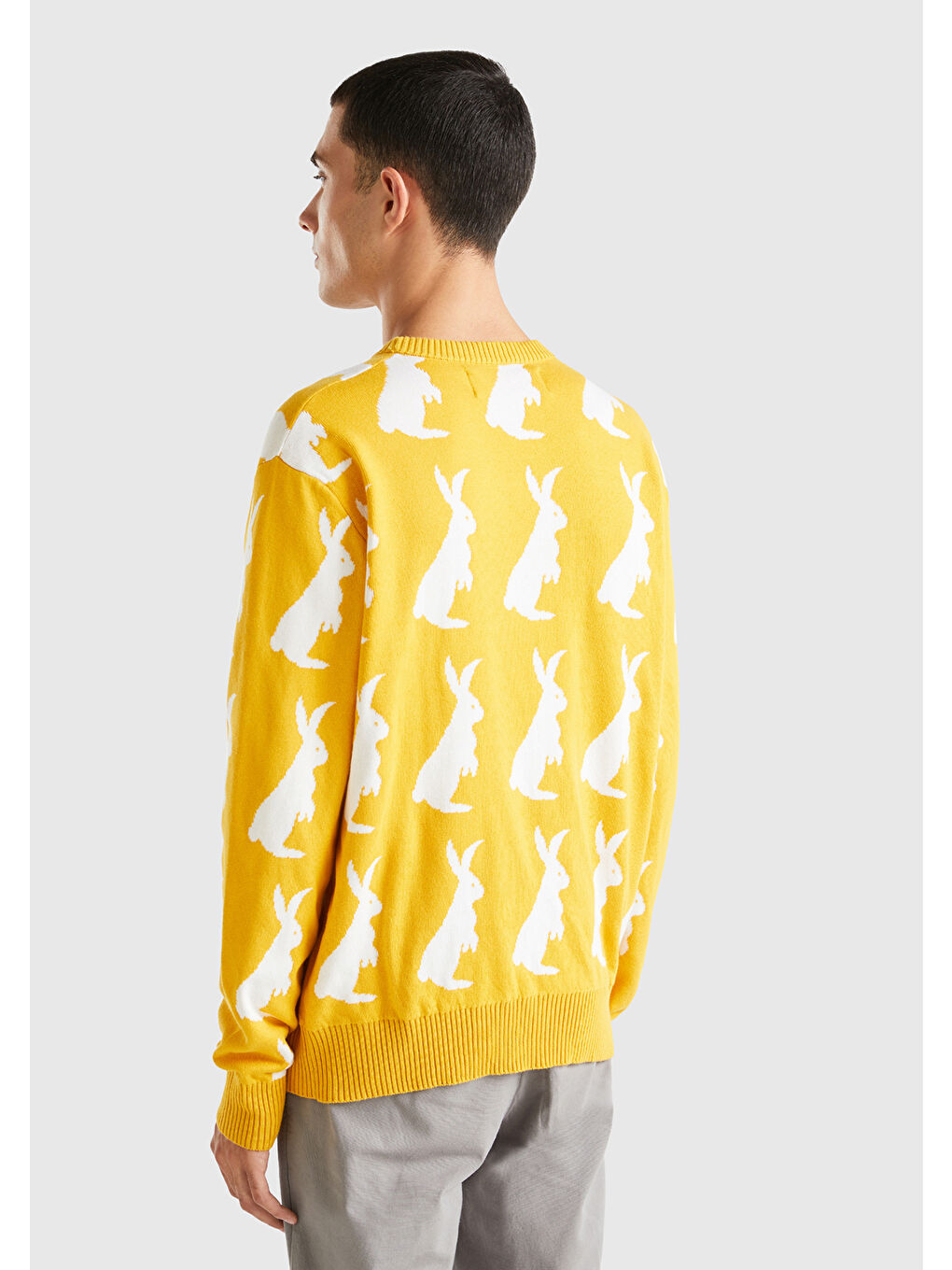 Sarı Erkek Hardal %100 Pamuk Küçük Tavşan Desenli Kazak-2