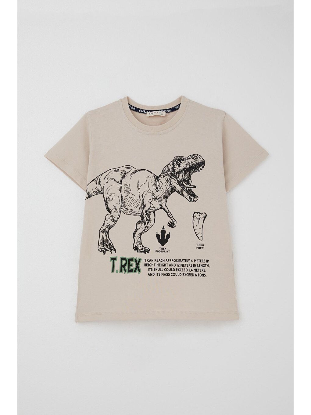 Erkek Çocuk Şortlu Takım Güçlü Dinozor Baskılı Kısa Kollar Büyük Güç Bej (4-9 Yaş)-1