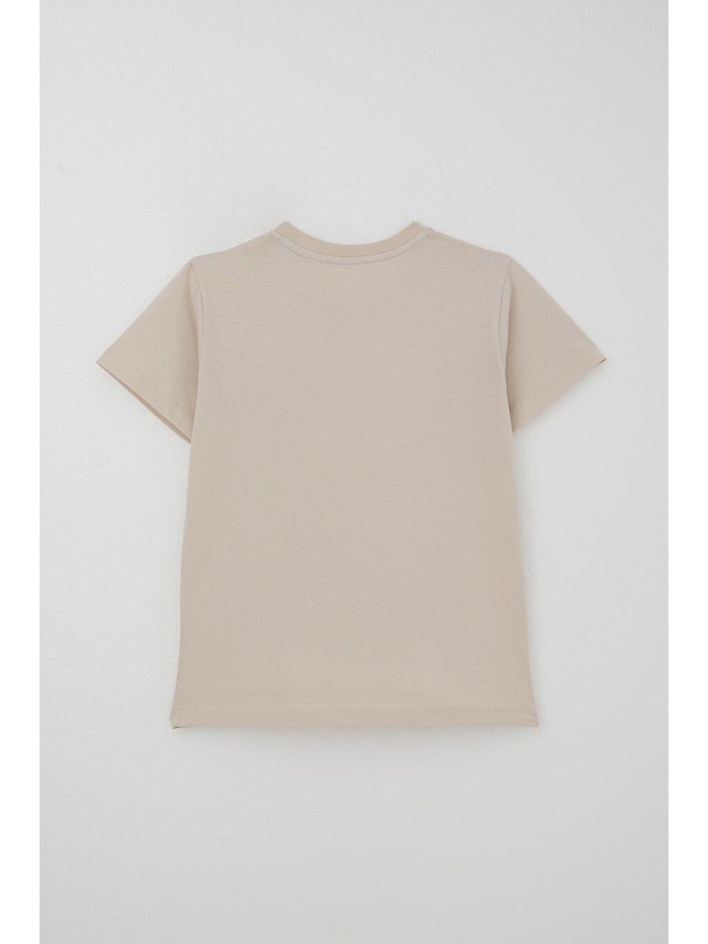 Erkek Çocuk Şortlu Takım Güçlü Dinozor Baskılı Kısa Kollar Büyük Güç Bej (4-9 Yaş)-3