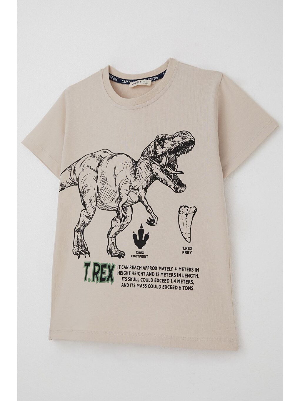 Erkek Çocuk Şortlu Takım Güçlü Dinozor Baskılı Kısa Kollar Büyük Güç Bej (4-9 Yaş)-5