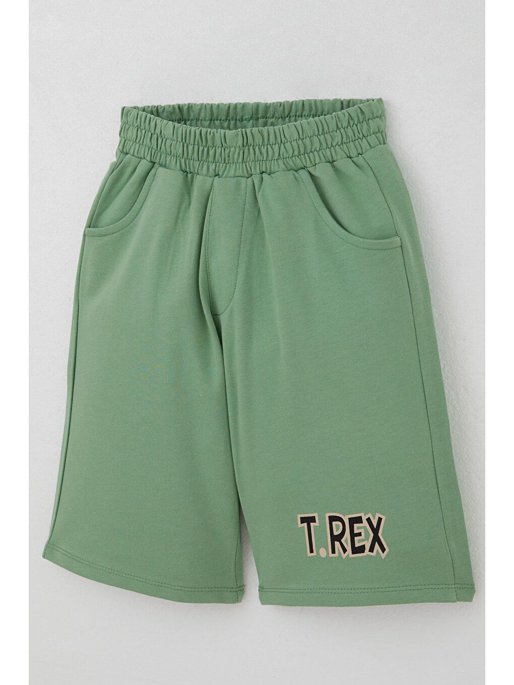 Erkek Çocuk Şortlu Takım Güçlü Dinozor Baskılı Kısa Kollar Büyük Güç Bej (4-9 Yaş)-6