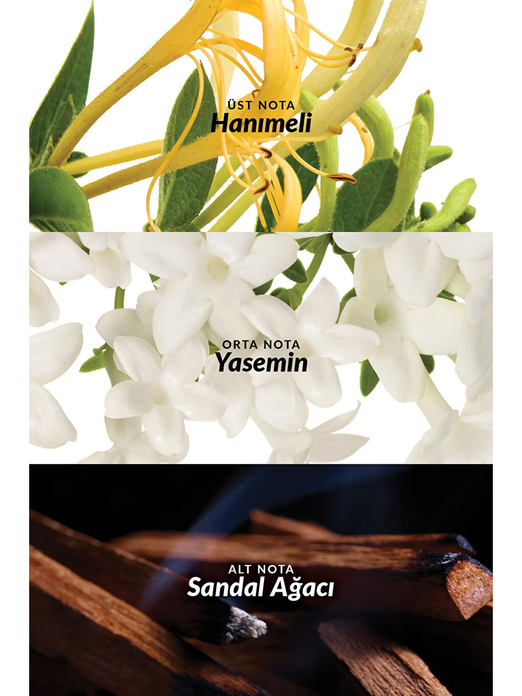 Far Away Rebel Attraction ve Little Black Dress Kadın Parfüm Paketi-7