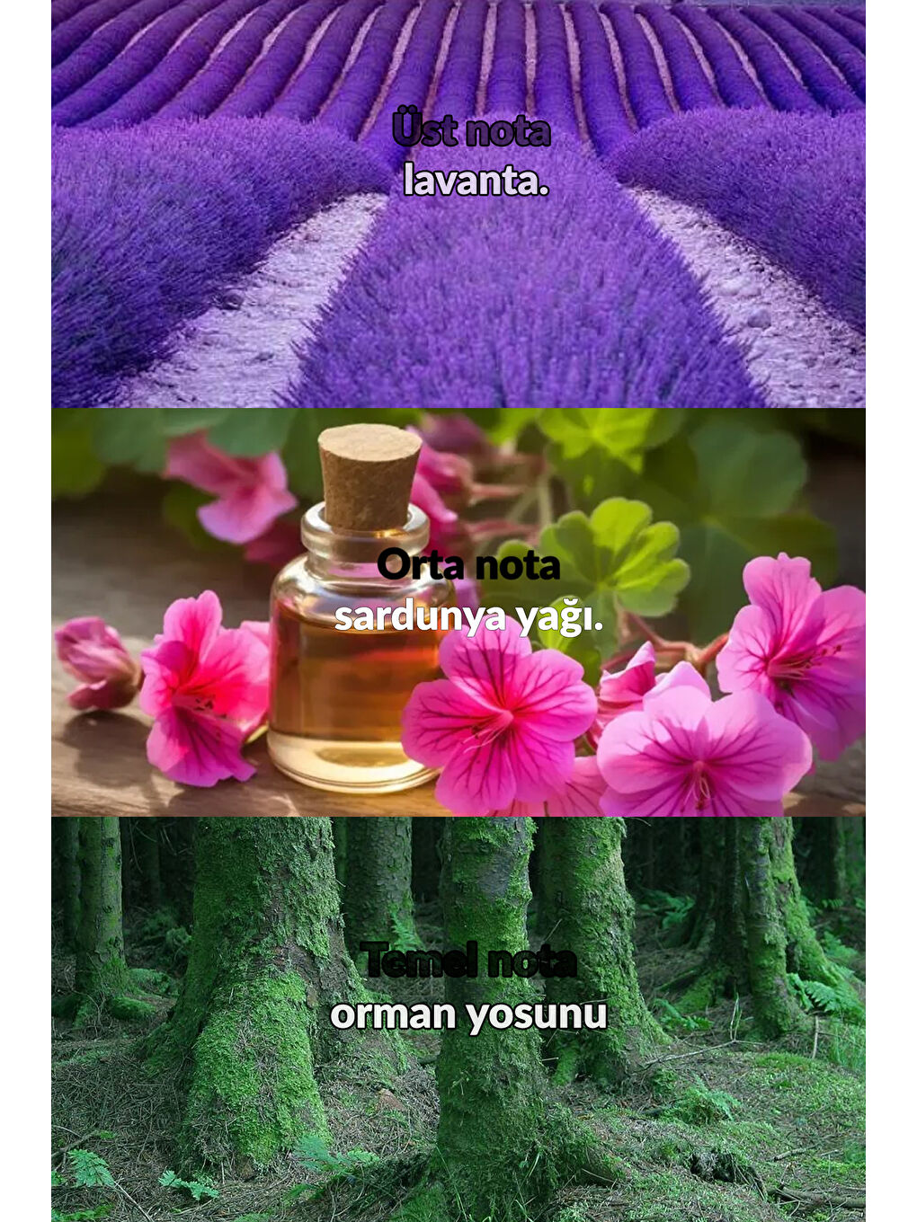 AVON Scent Mix Elegant Rose Kadın Parfüm ve Green Fougere Erkek Parfüm Paketi - 3