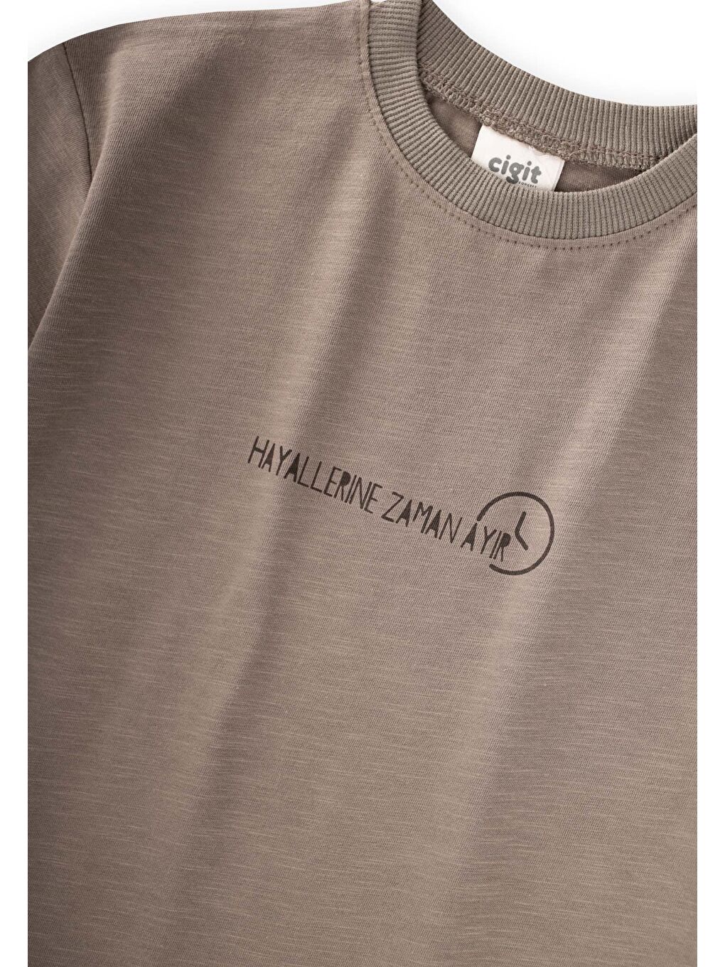 Bej Slogan Baskılı T-Shirt 2-10 Yaş Vizon-2
