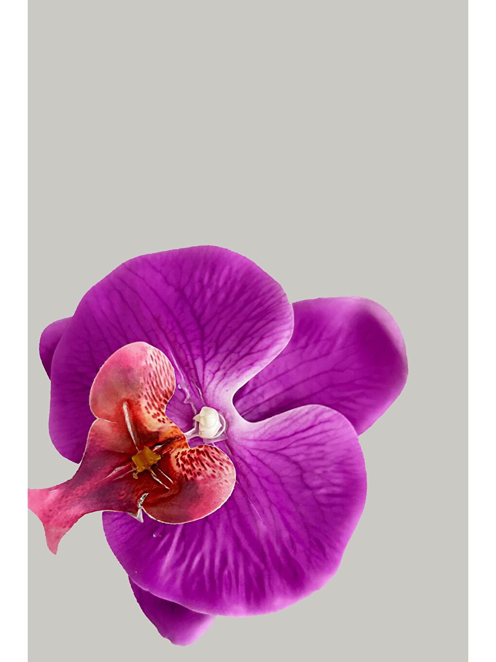 Mor Aloha Orkide Çiçeği Süslü Çok Amaçlı Pens Toka-1