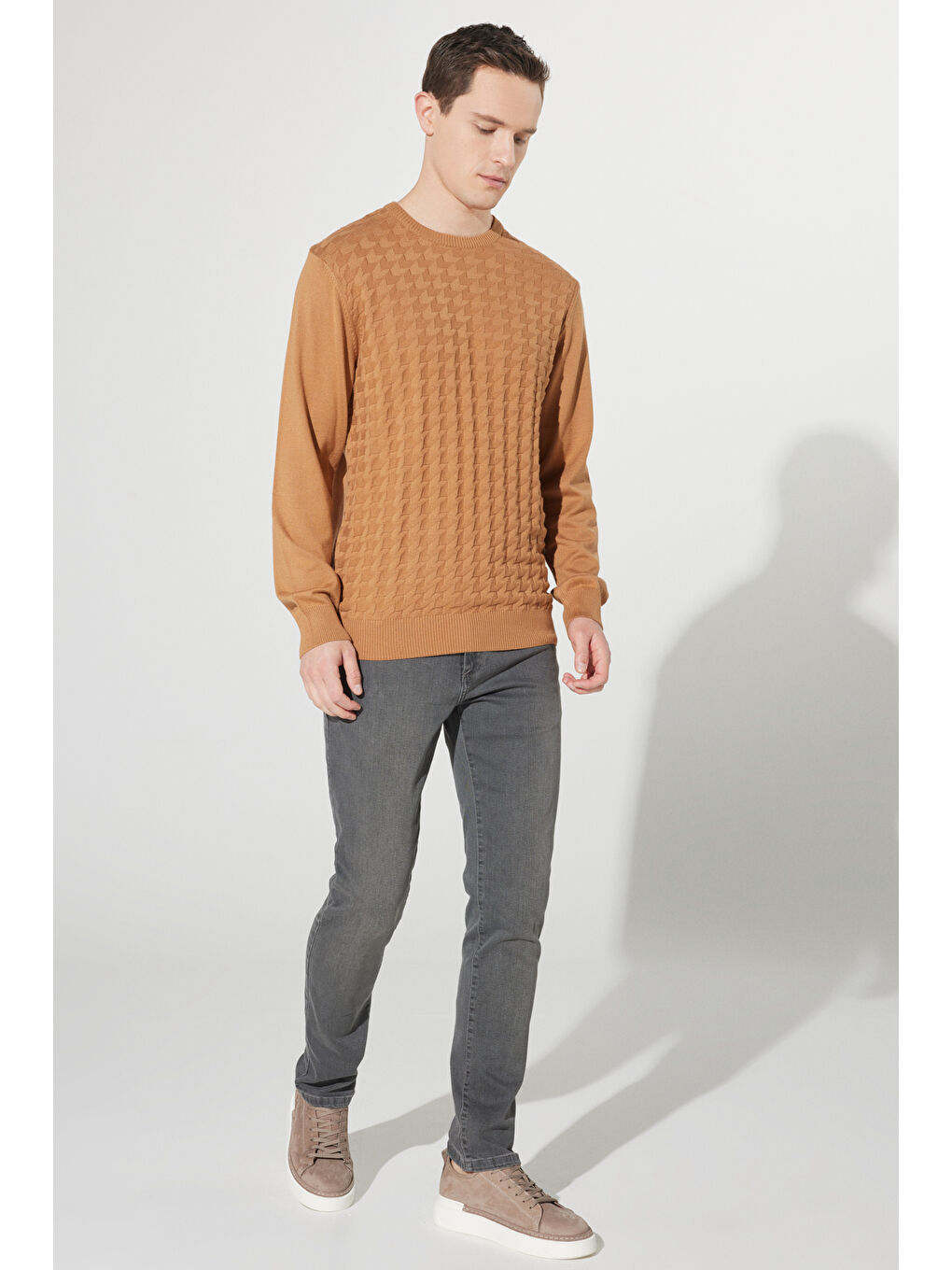 Bej Erkek Vizon Tüylenme Yapmayan Slim Fit  Normal Kesim Bisiklet Yaka Armürlü Triko-1