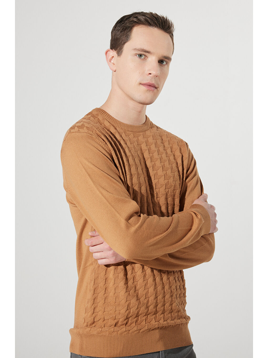 Bej Erkek Vizon Tüylenme Yapmayan Slim Fit  Normal Kesim Bisiklet Yaka Armürlü Triko-2