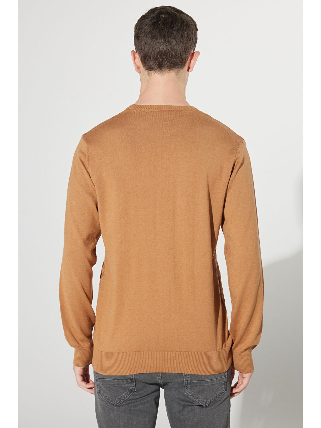 Bej Erkek Vizon Tüylenme Yapmayan Slim Fit  Normal Kesim Bisiklet Yaka Armürlü Triko-5