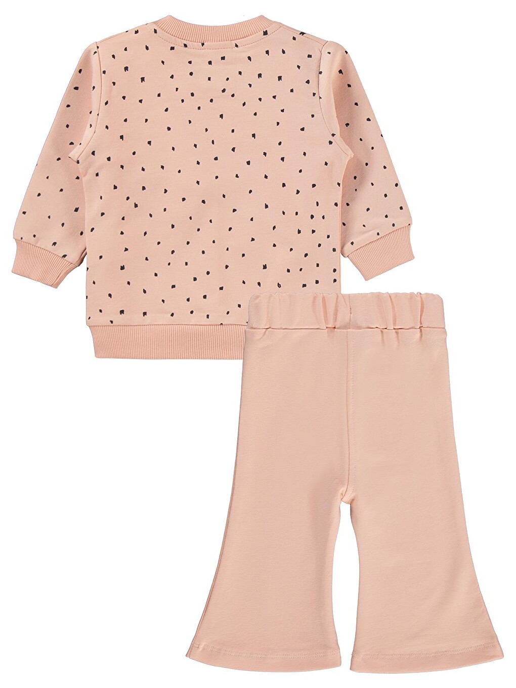 Pembe Baby Nakışlı Hırkalı 6-18 Ay Takım - Pudra-2