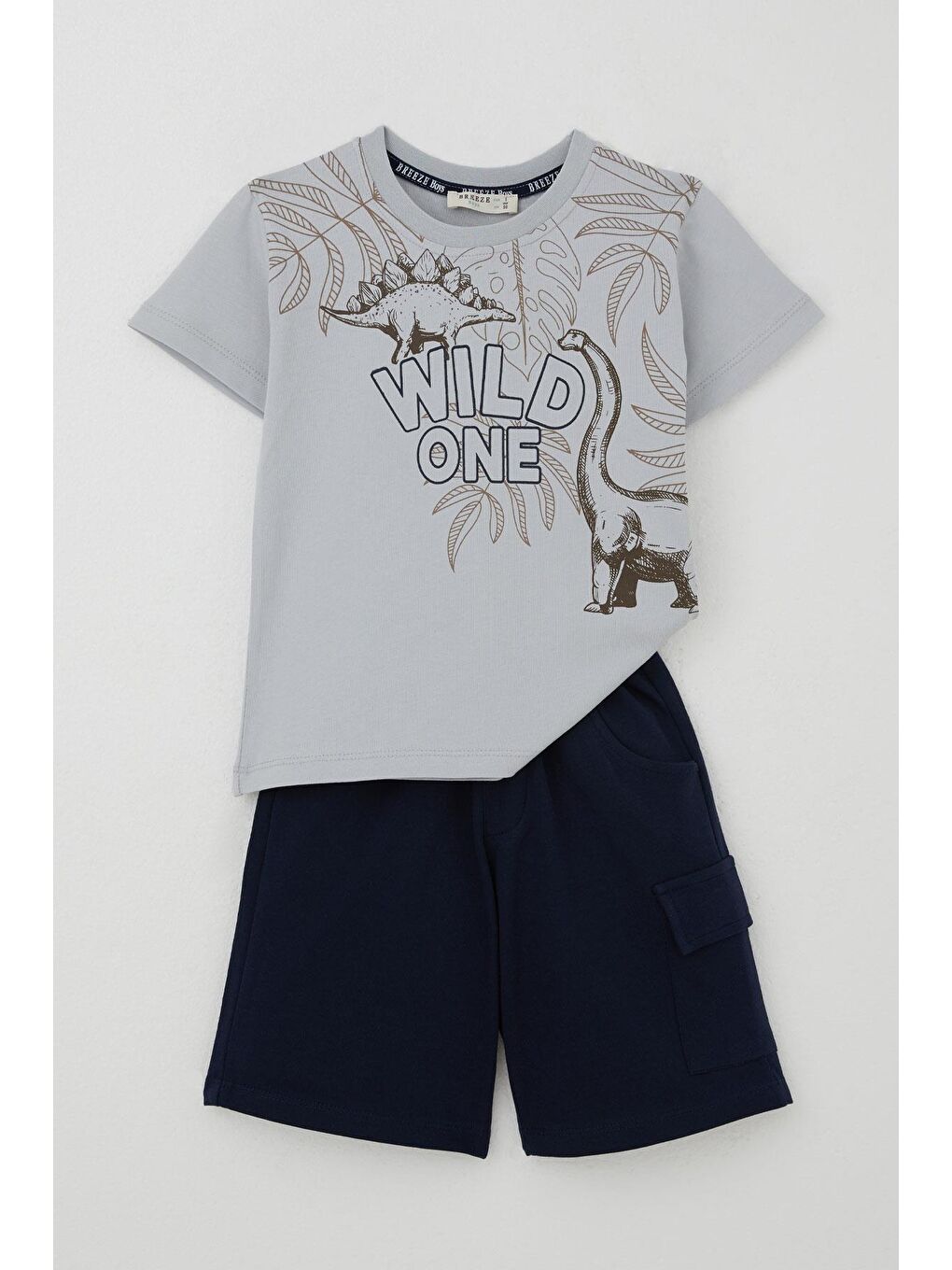 Erkek Çocuk Şortlu Takım Güçlü Dinozorlar Baskılı Gri (3-6 Yaş)