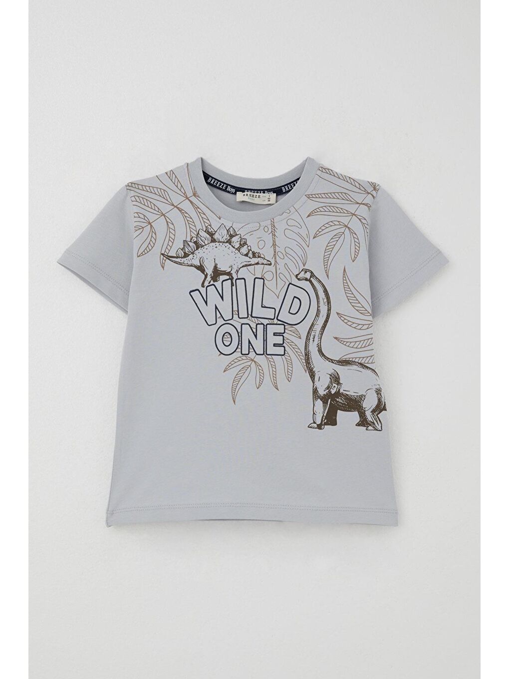 Erkek Çocuk Şortlu Takım Güçlü Dinozorlar Baskılı Gri (3-6 Yaş)-1