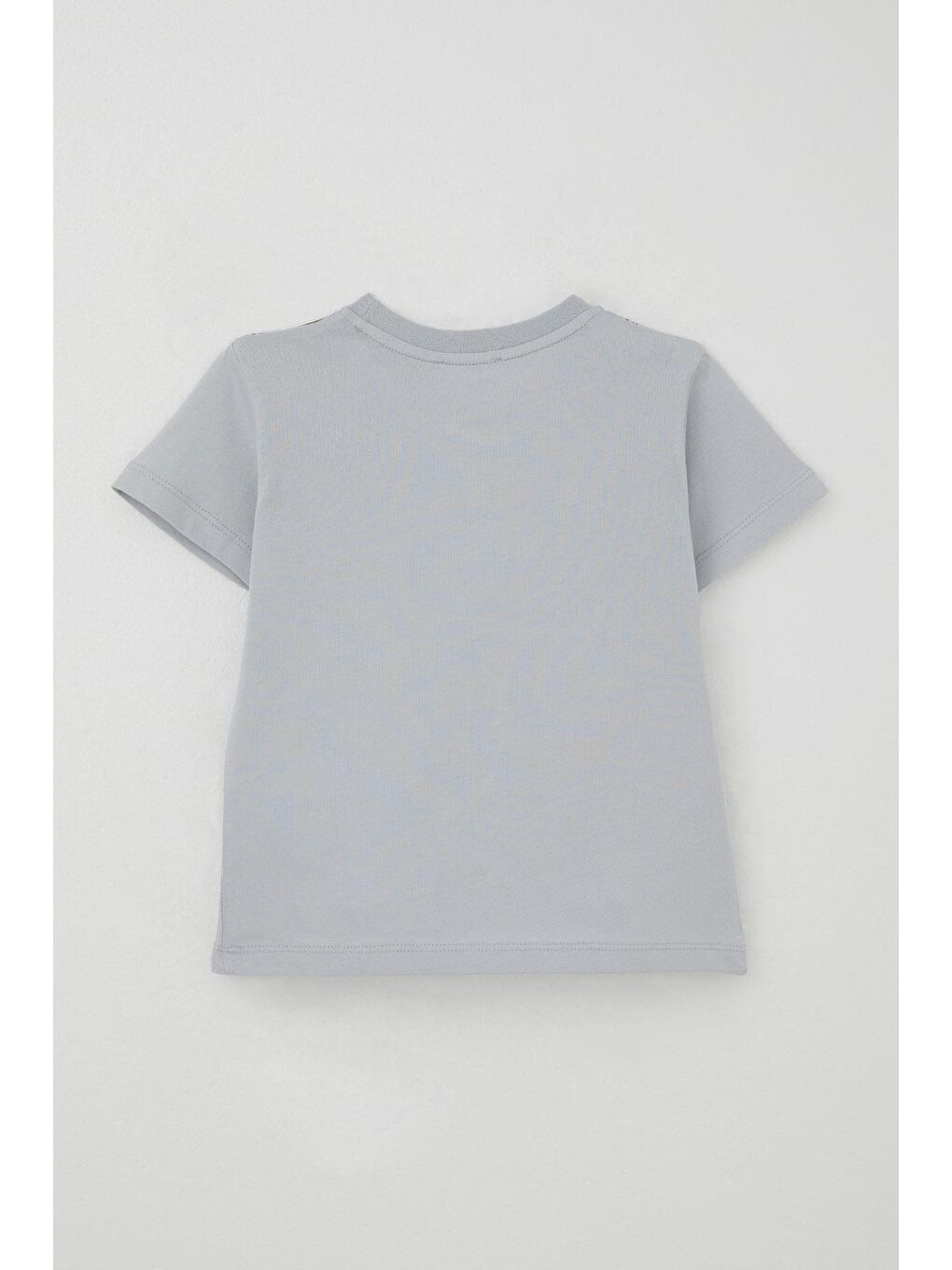 Erkek Çocuk Şortlu Takım Güçlü Dinozorlar Baskılı Gri (3-6 Yaş)-3