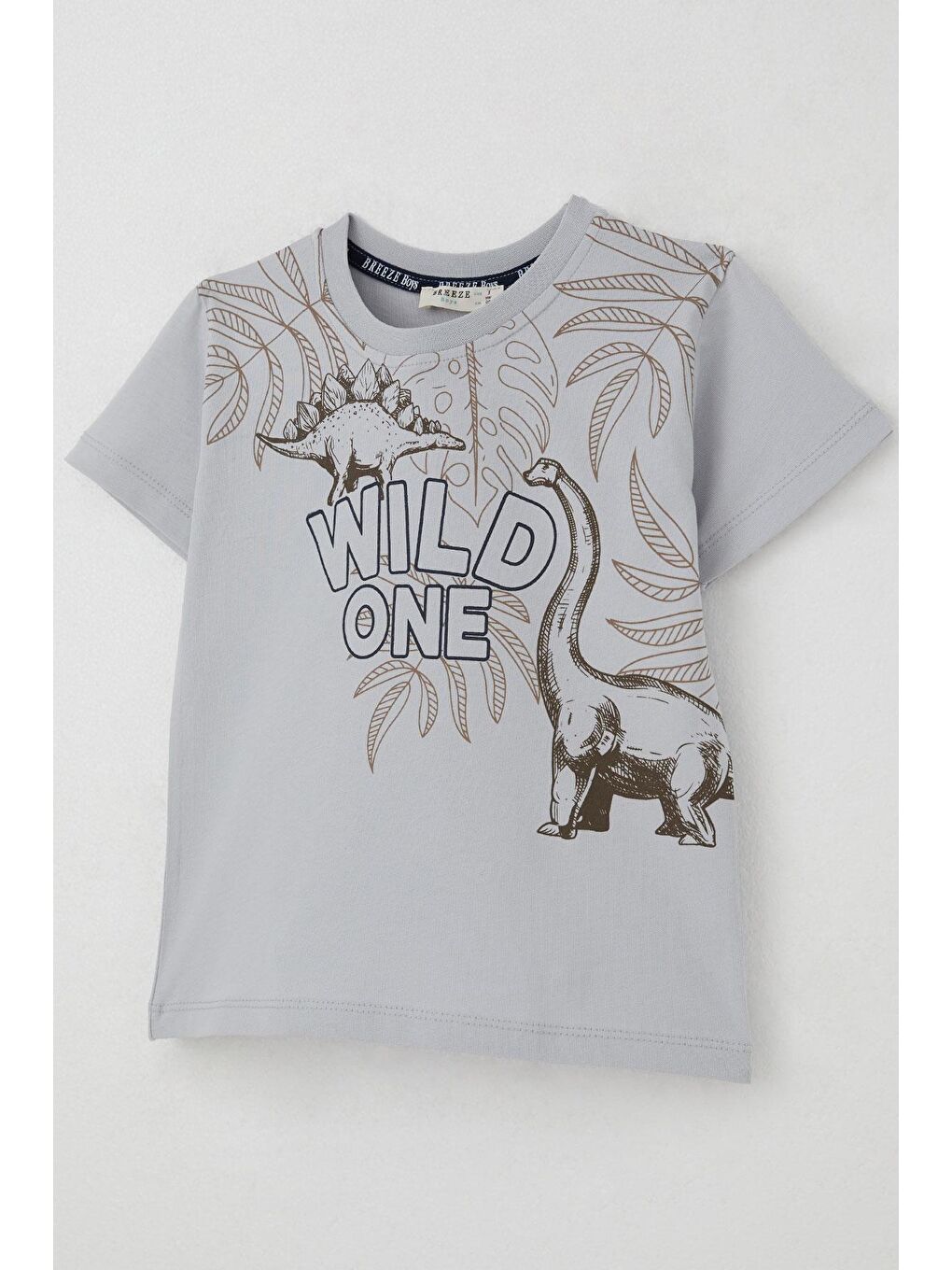 Erkek Çocuk Şortlu Takım Güçlü Dinozorlar Baskılı Gri (3-6 Yaş)-5