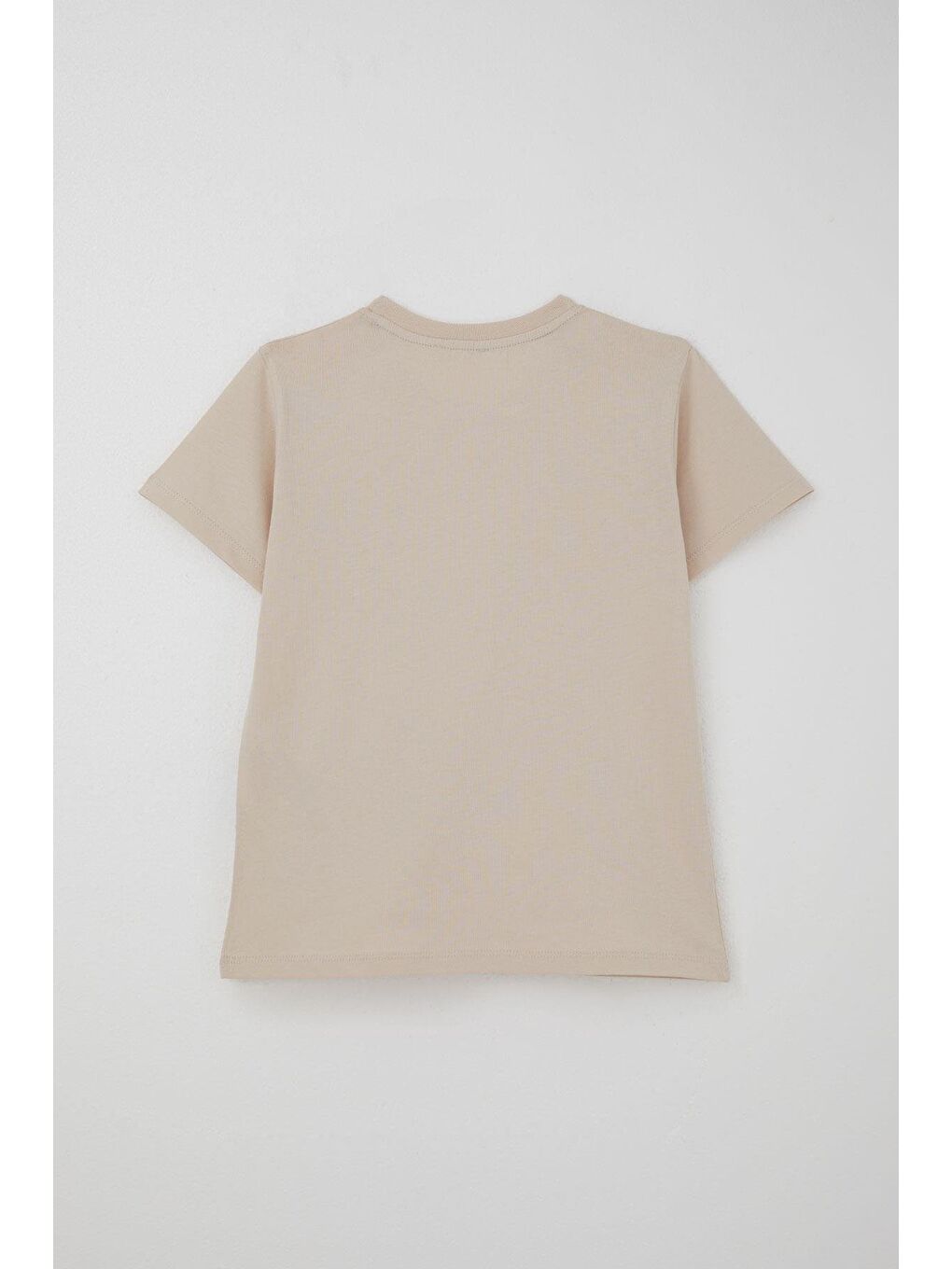 Erkek Çocuk Şortlu Takım Jetski Tutkunu Havalı Dinozor Baskılı Bej (5-9 Yaş)-3