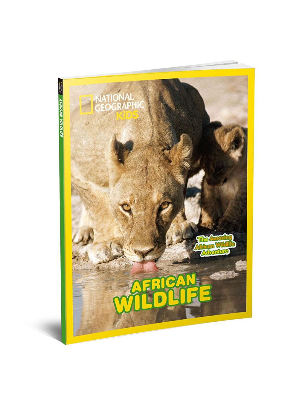 Cubic Fun Karışık 3D Puzzle National Geographic Kids - Afrika Yaban Hayatı - 4