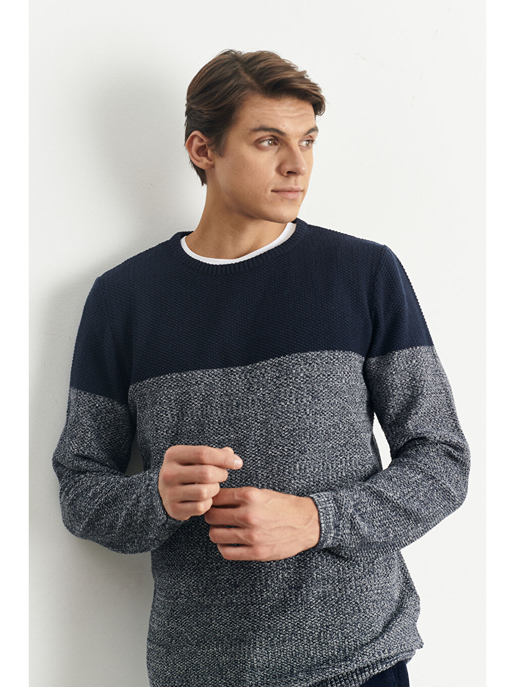 Erkek Lacivert-Krem Recycle Standart Fit Normal Kesim Bisiklet Yaka Triko-3