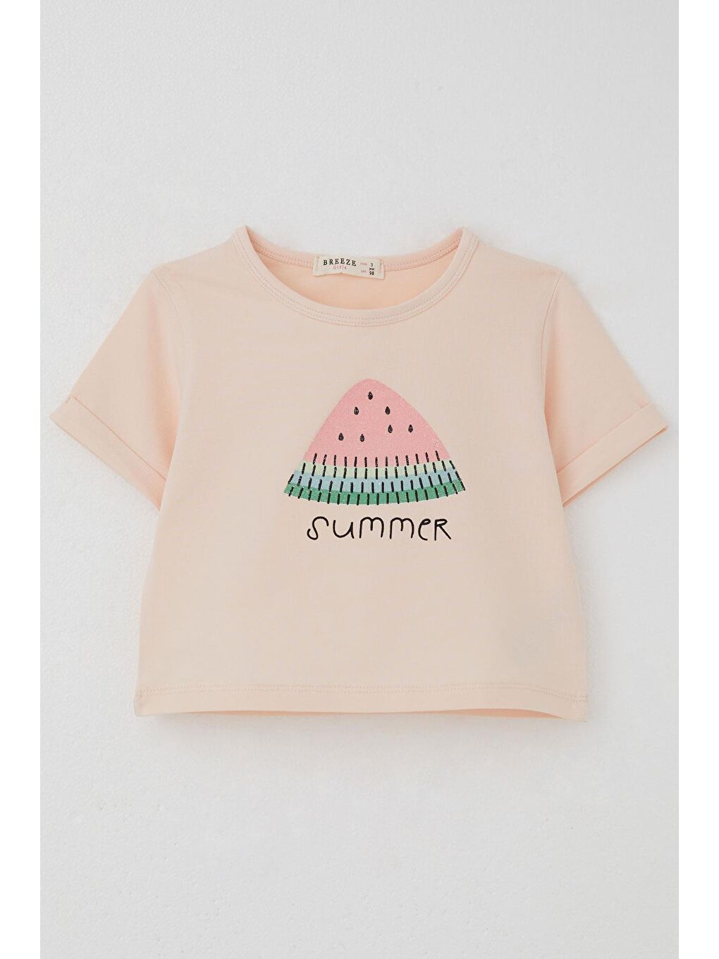 Pembe Kız Çocuk Şortlu Takım Yaz Temalı Karpuz Dilimi Baskılı Pudra (3-8 Yaş)-1