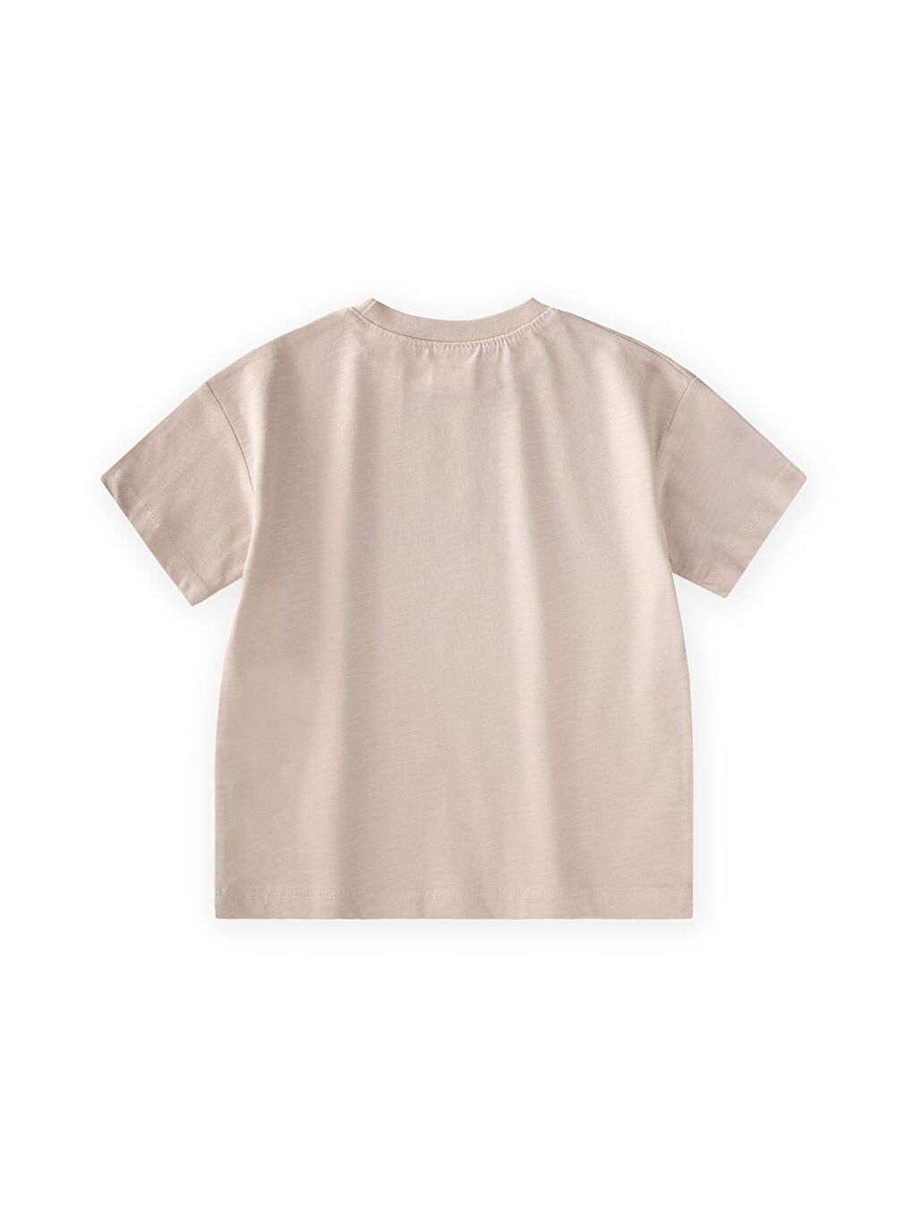 Slogan Baskılı T-Shirt 2-10 Yaş Açık Bej-1