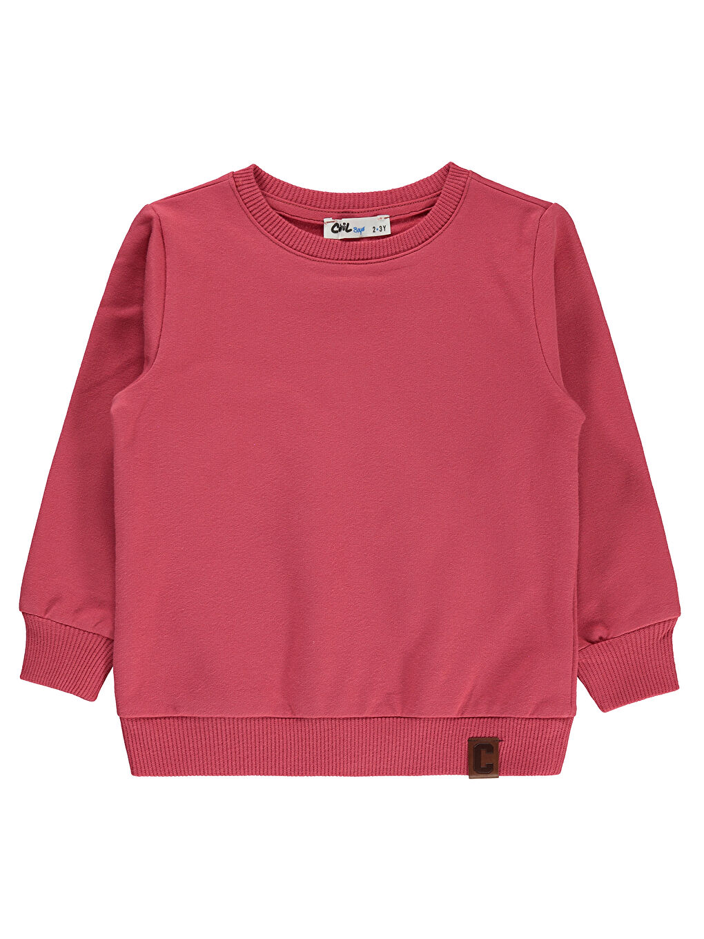 Boys Erkek Çocuk Sweatshirt 2-5 Yaş Mercan