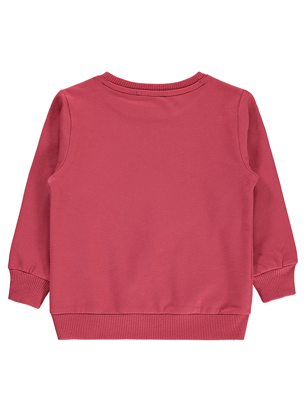 Boys Erkek Çocuk Sweatshirt 2-5 Yaş Mercan-1