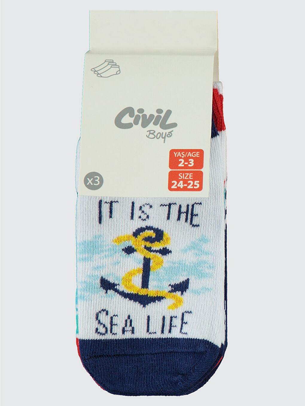 Boys Erkek Çocuk 3'lü Patik Çorap 2-12 Yaş Lacivert-5