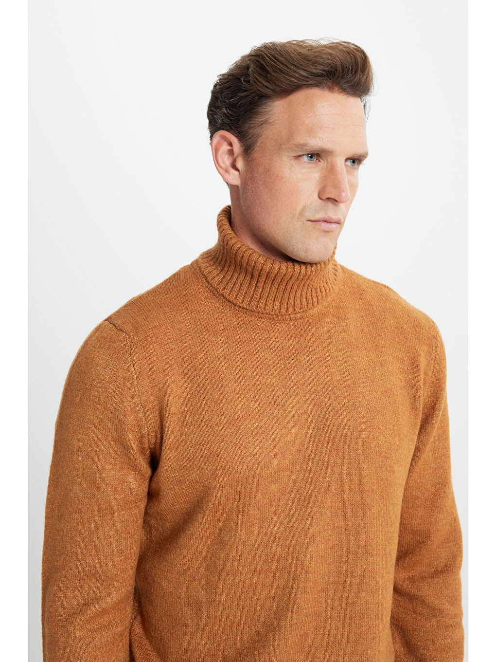 Sarı Erkek Hardal Standart Fit Normal Kesim Tam Balıkçı Yaka Triko-4