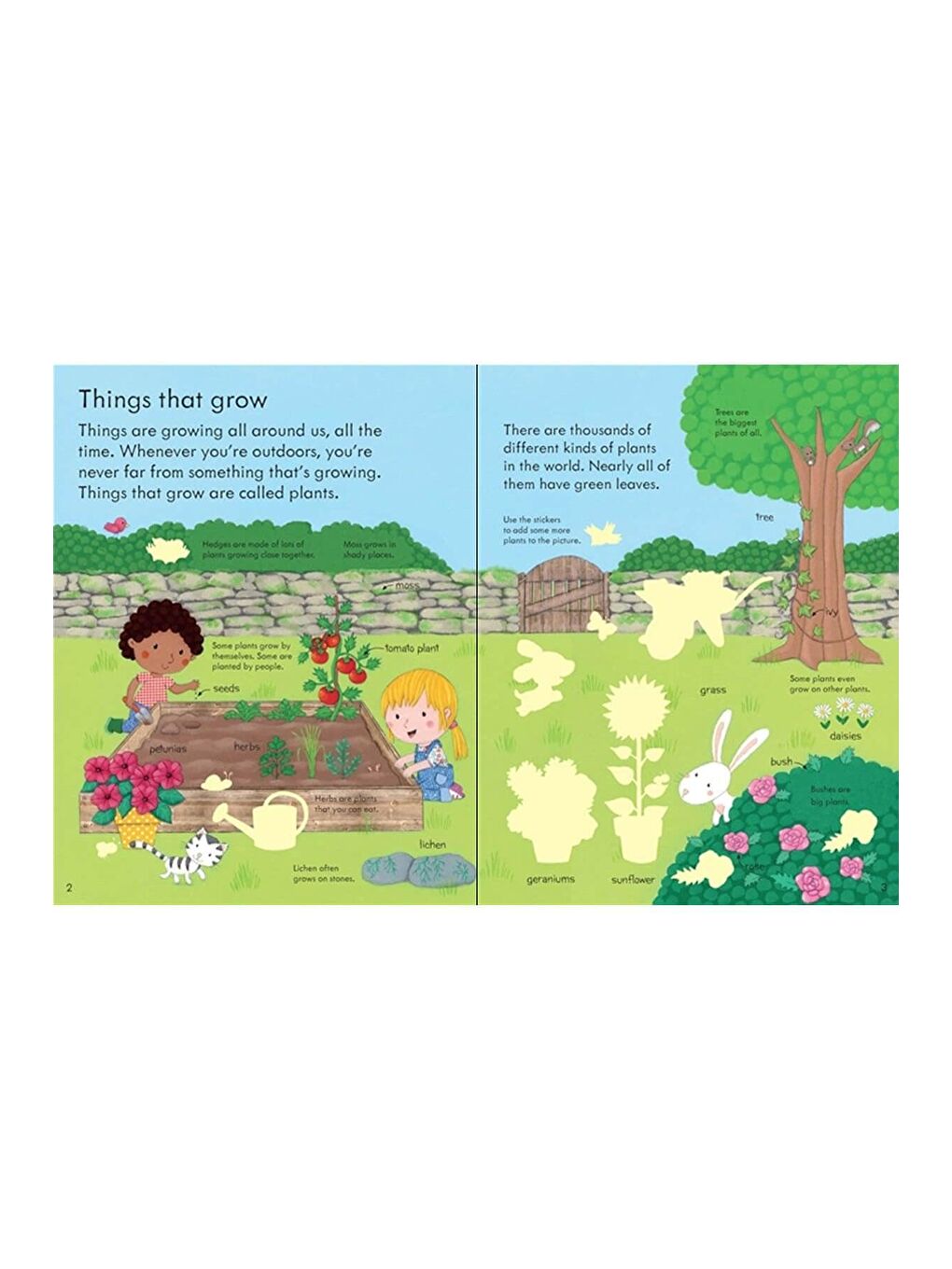 The Usborne Beyaz-Renklibaskı My First Book About How Things Grow Sticker Book - 1