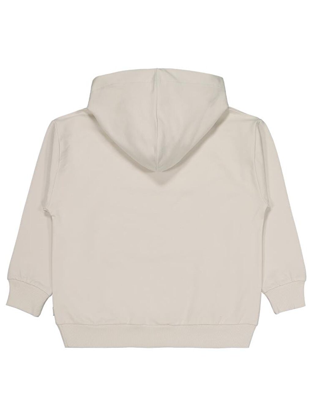 Boys No Etiketli 6-9 Yaş Kapüşonlu Sweatshırt - Gri9-10 Yaş-1