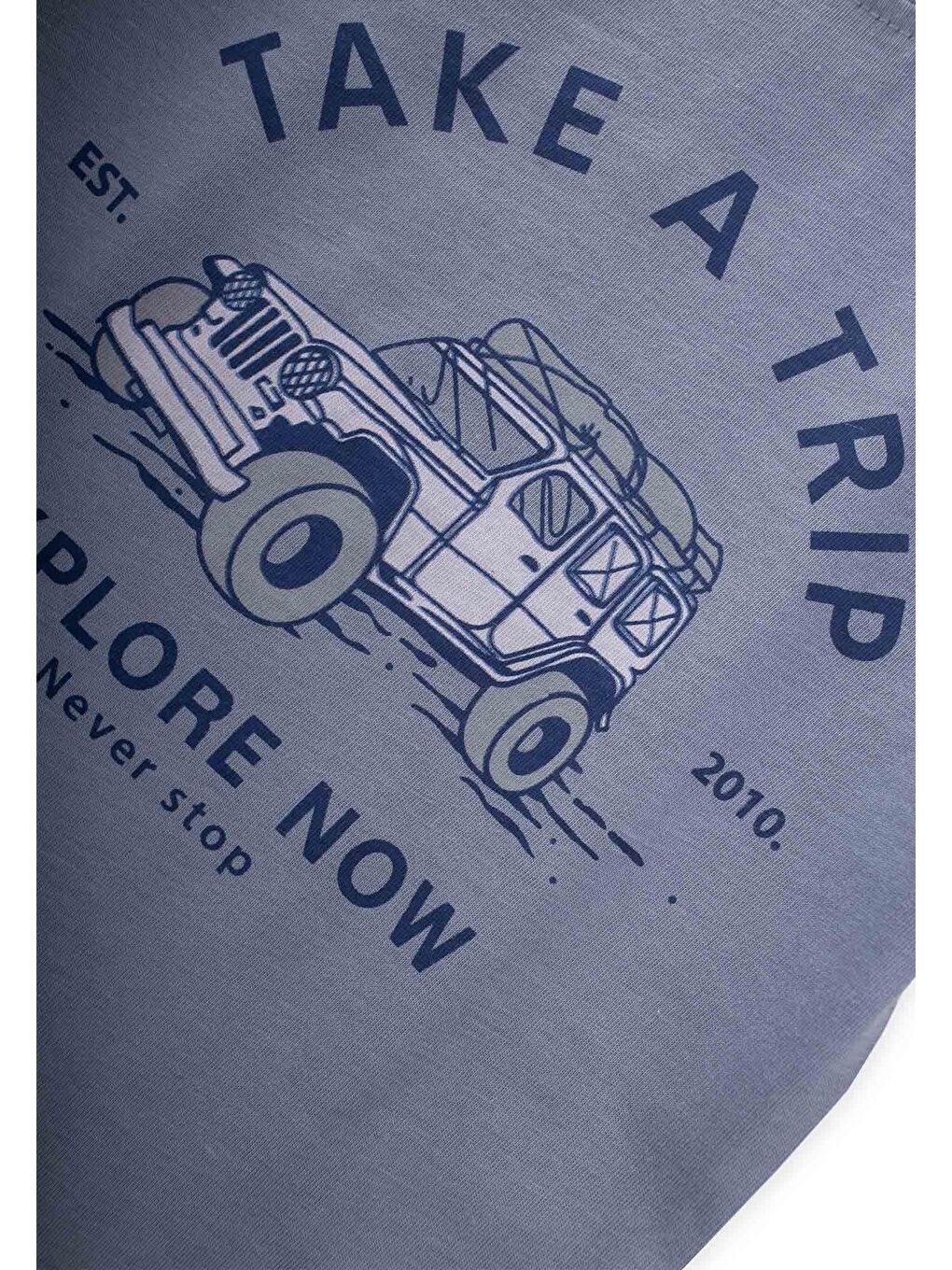 İndigo Erkek Çocuk Baskılı Tişört-2