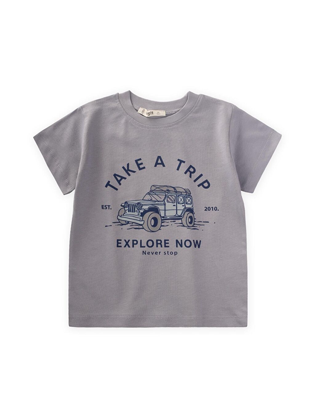 Gri Erkek Çocuk Baskılı Tişört