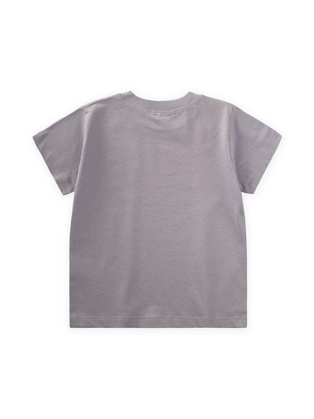 Gri Erkek Çocuk Baskılı Tişört-1