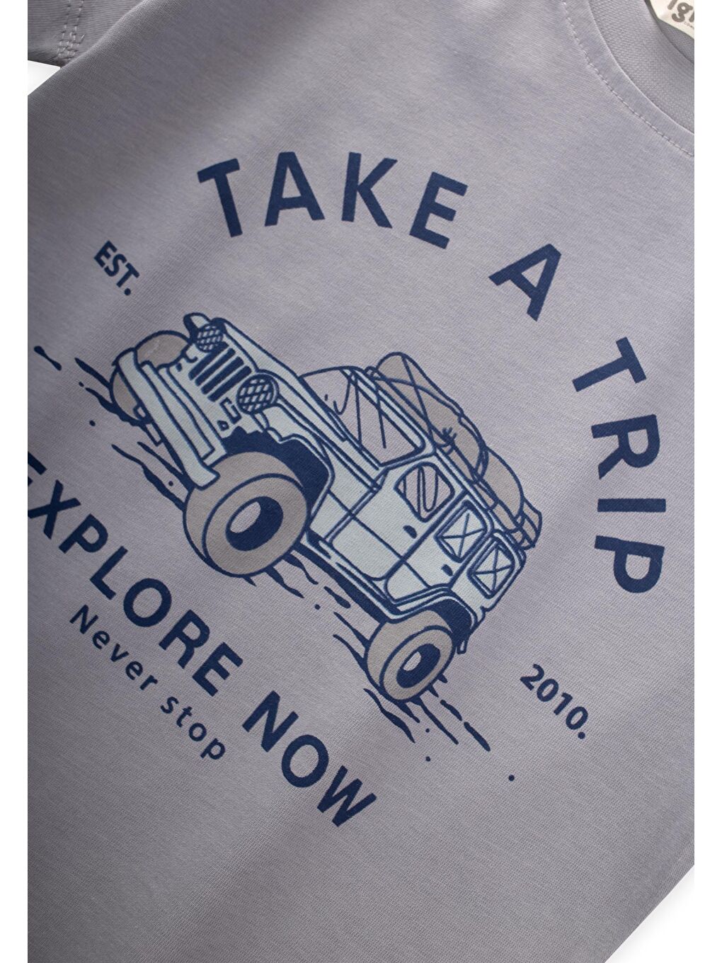 Gri Erkek Çocuk Baskılı Tişört-2