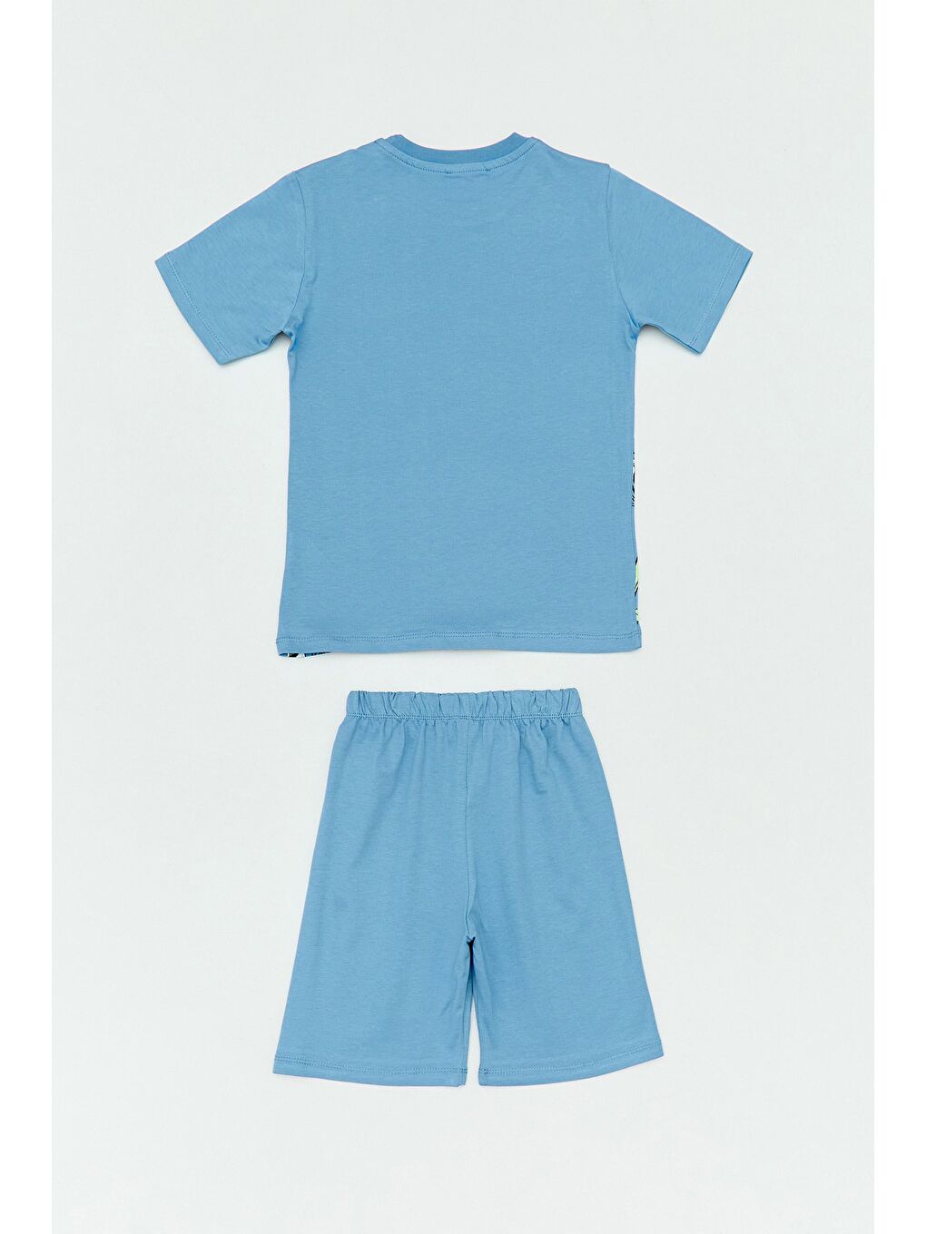 Mavi Kaplan Baskılı Şortlu 2 Li Erkek Çocuk Takım-1