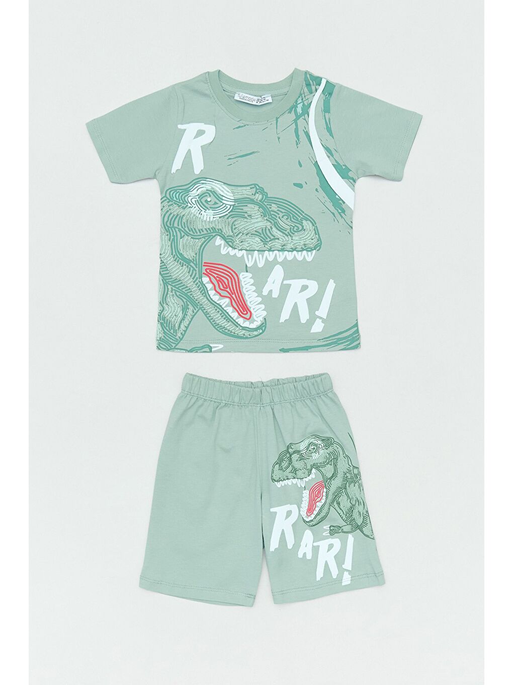 Turkuaz Dinozor Kabartma Baskılı 2 Li Erkek Çocuk Şortlu Takım