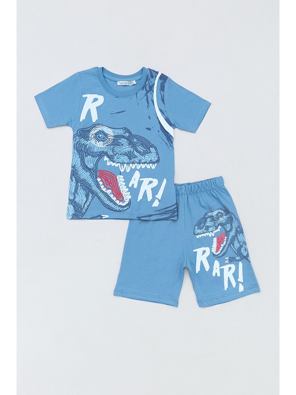 Mavi Dinozor Kabartma Baskılı 2 Li Erkek Çocuk Şortlu Takım