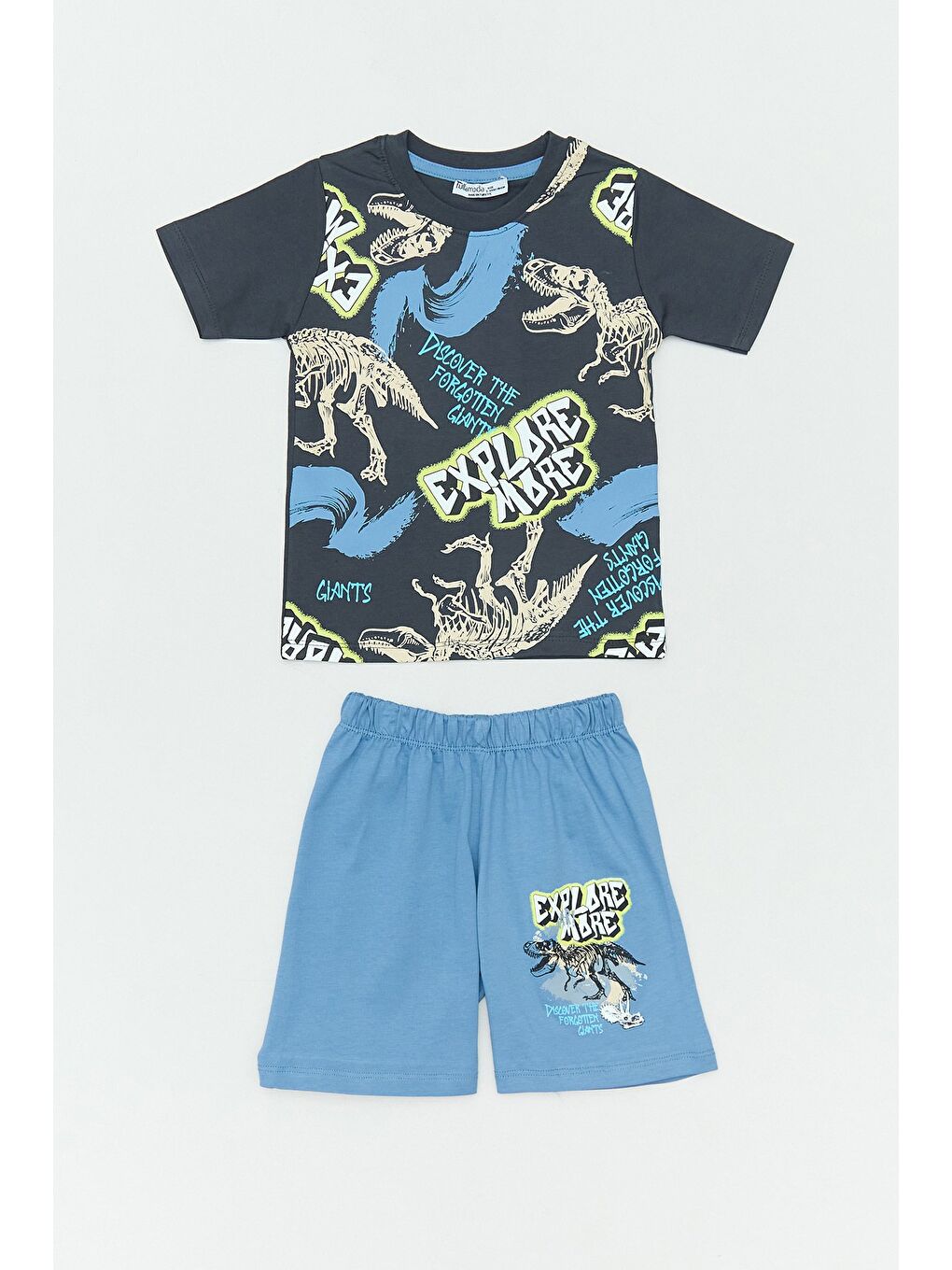 Mavi Yazı Ve Dinozor Baskılı Erkek Çocuk Şortlu Takım