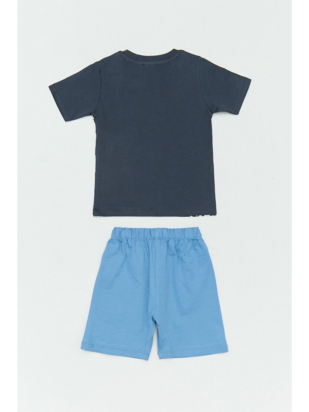 Mavi Yazı Ve Dinozor Baskılı Erkek Çocuk Şortlu Takım-1