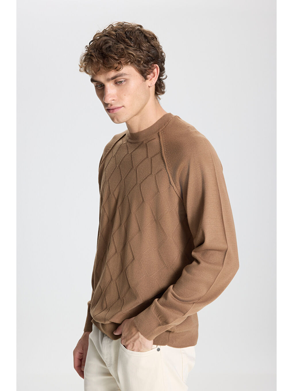 Bej Erkek Vizon Standart Fit Normal Kesim Bisiklet Yaka Jakarlı Triko Kazak-2