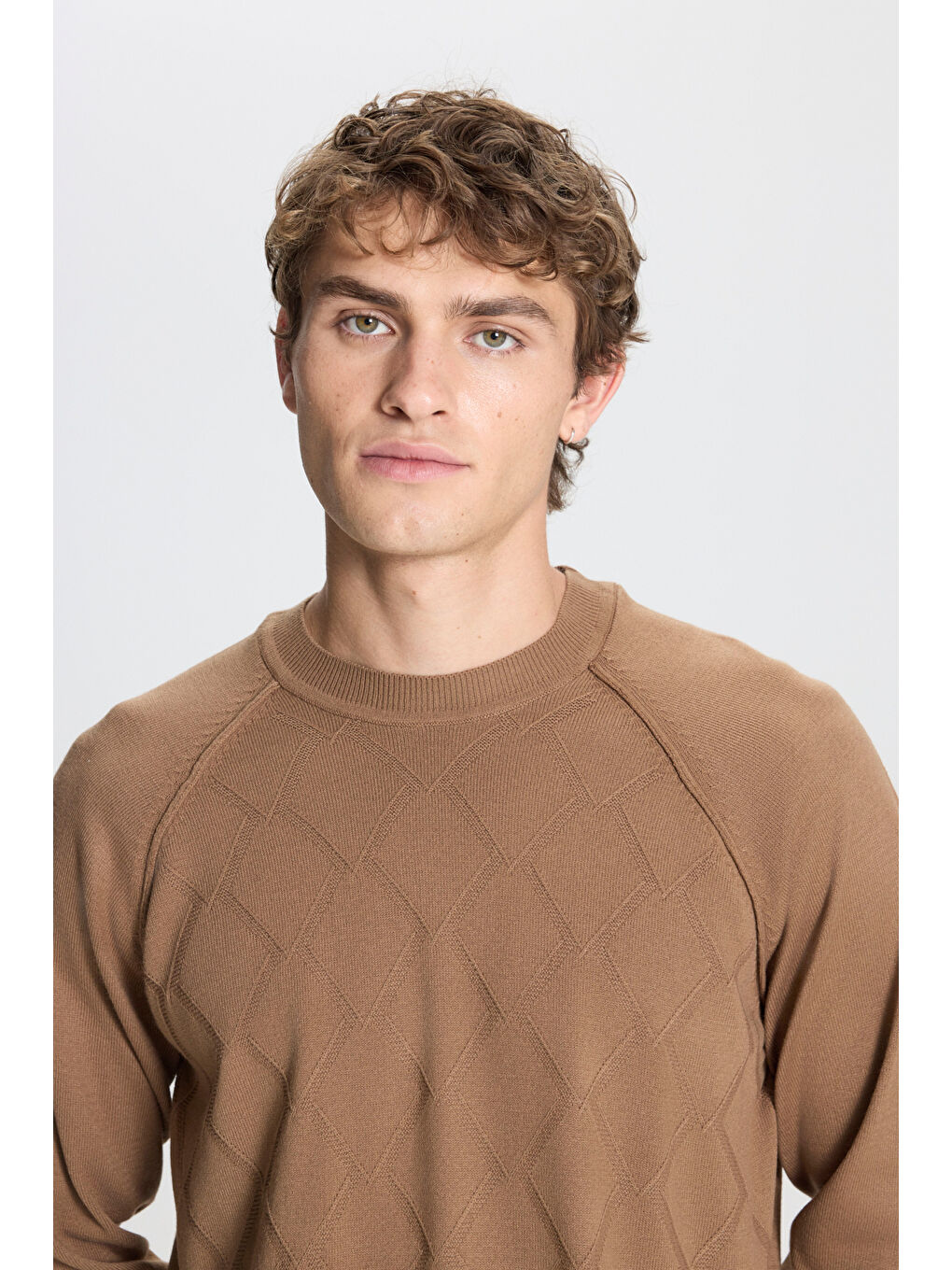 Bej Erkek Vizon Standart Fit Normal Kesim Bisiklet Yaka Jakarlı Triko Kazak-3