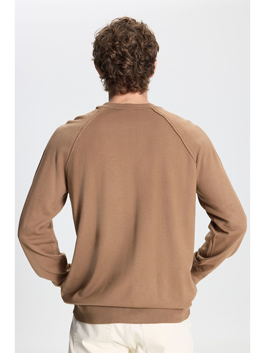 Bej Erkek Vizon Standart Fit Normal Kesim Bisiklet Yaka Jakarlı Triko Kazak-4