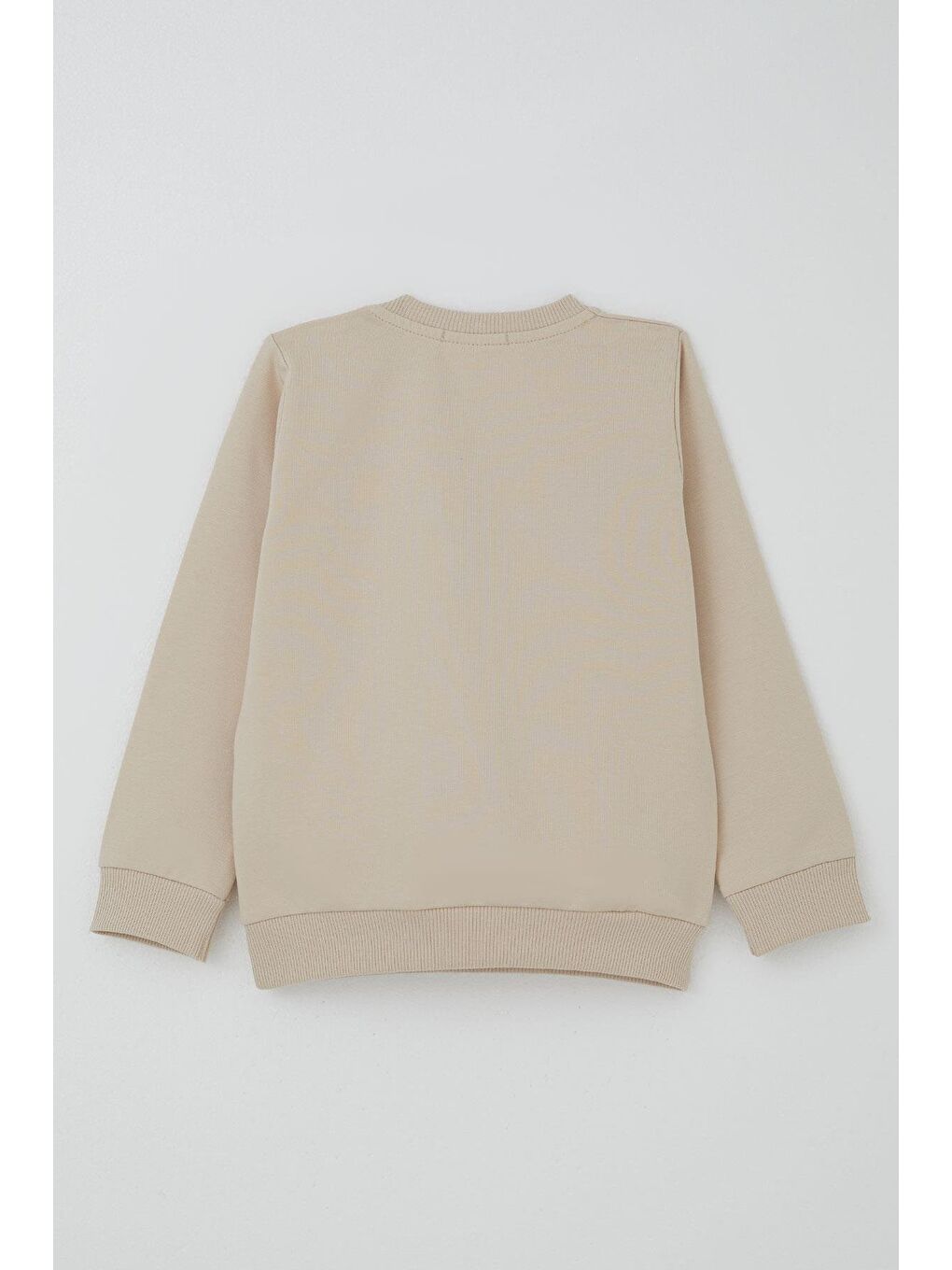 Erkek Bebek Eşofman Takımı Sevimli Dinozor Nakışlı Bej (9 Ay-3 Yaş)-3