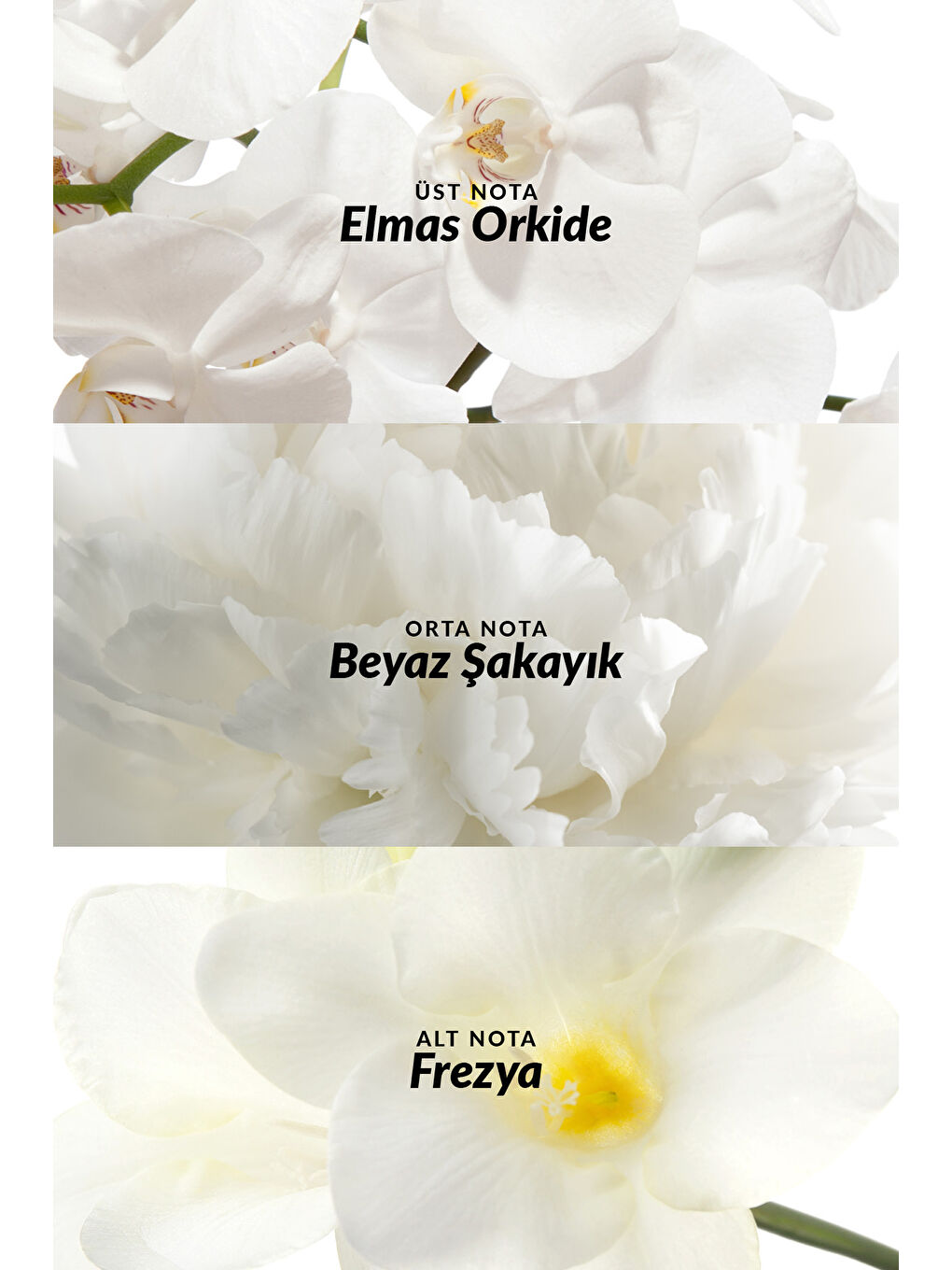 Luck Incandessence ve Imari Eclipse Kadın Parfüm Paketi-3