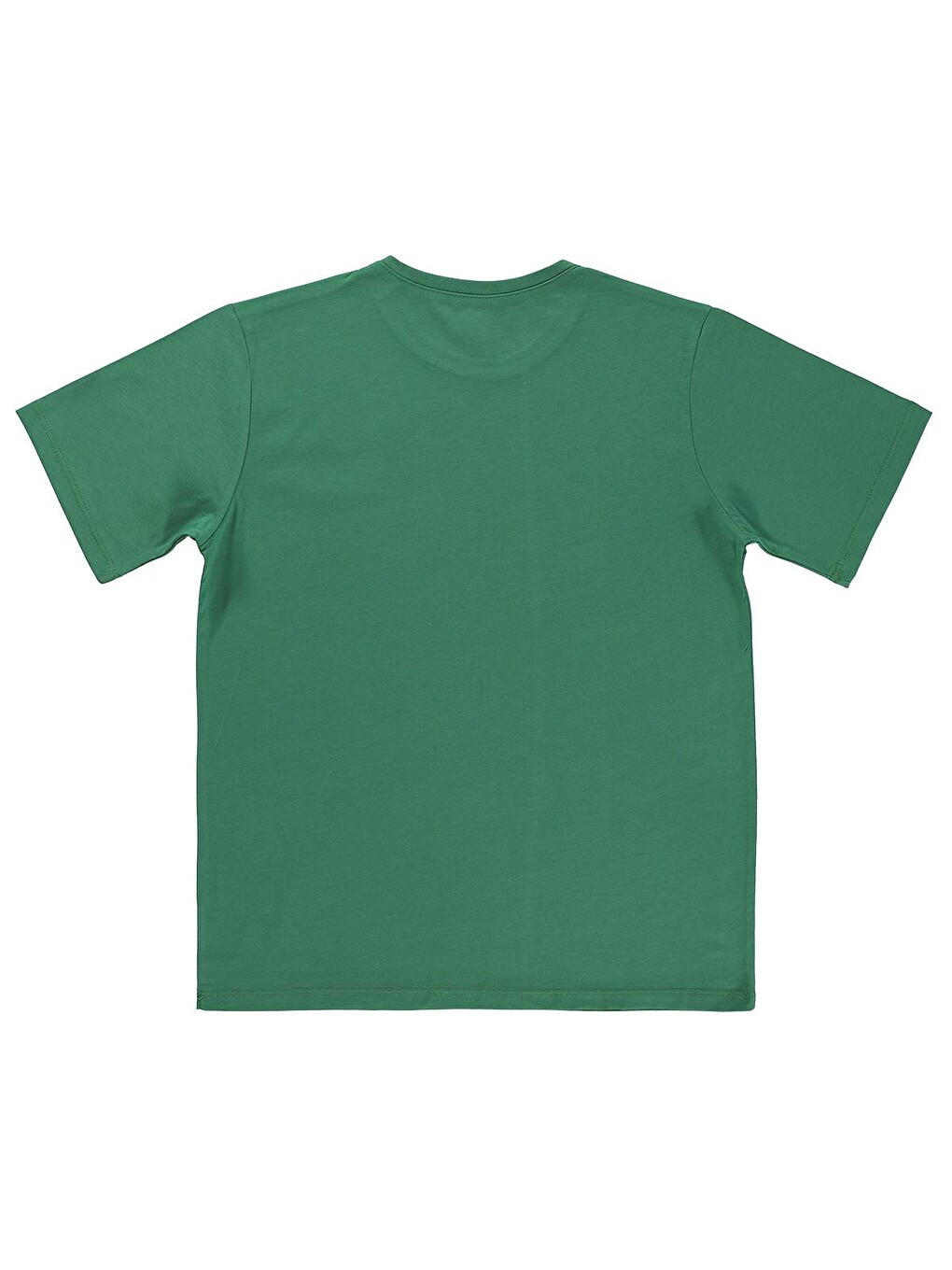 Boys Basic Surf Etiketli 10-13 Yaş Tişört - Yeşil-1