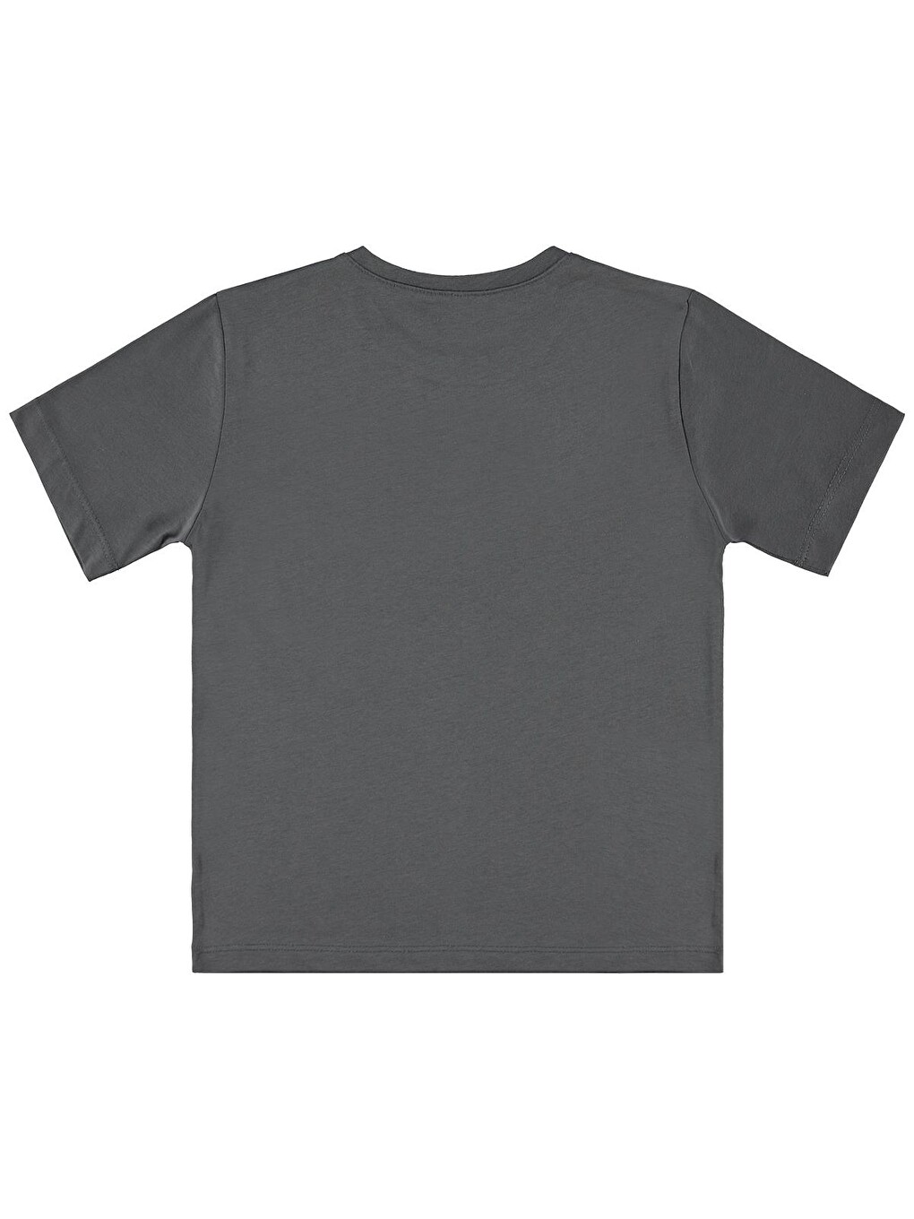 Boys Basic Surf Etiketli 6-9 Yaş Tişört - Gri-1