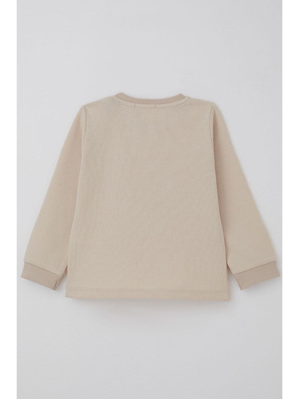 Ekru Erkek Bebek Eşofman Takımı Sevimli Köpekçik Nakışlı Krem (9 Ay-3 Yaş)-3