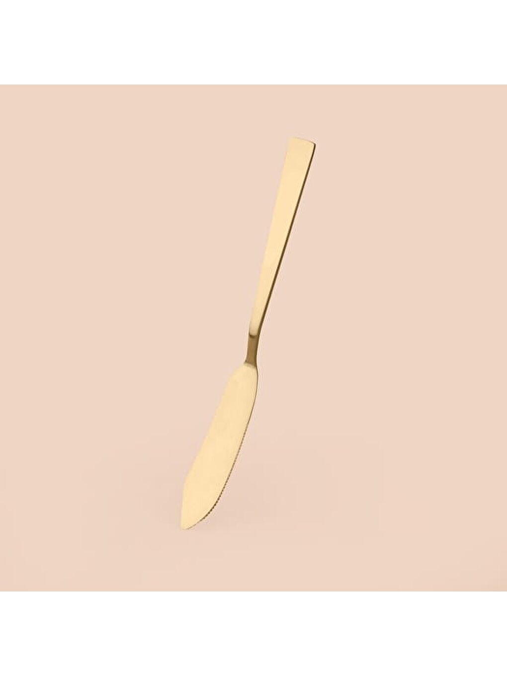 Renksiz Servis Seti - Renkli - 20x20 cm-1