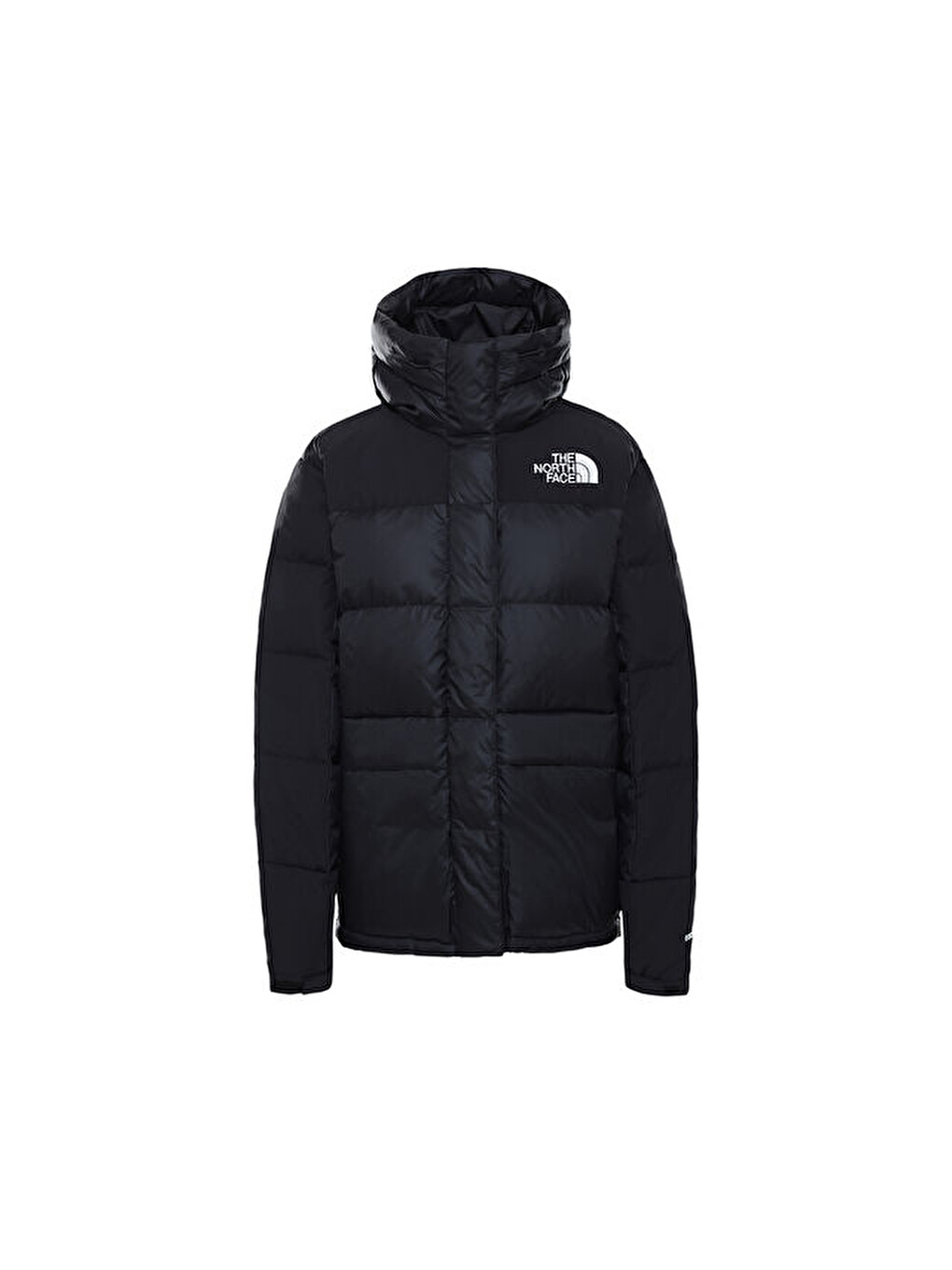 W Hmlyn Down Parka Kadın Outdoor Montu Nf0a4r2wjk31 Siyah