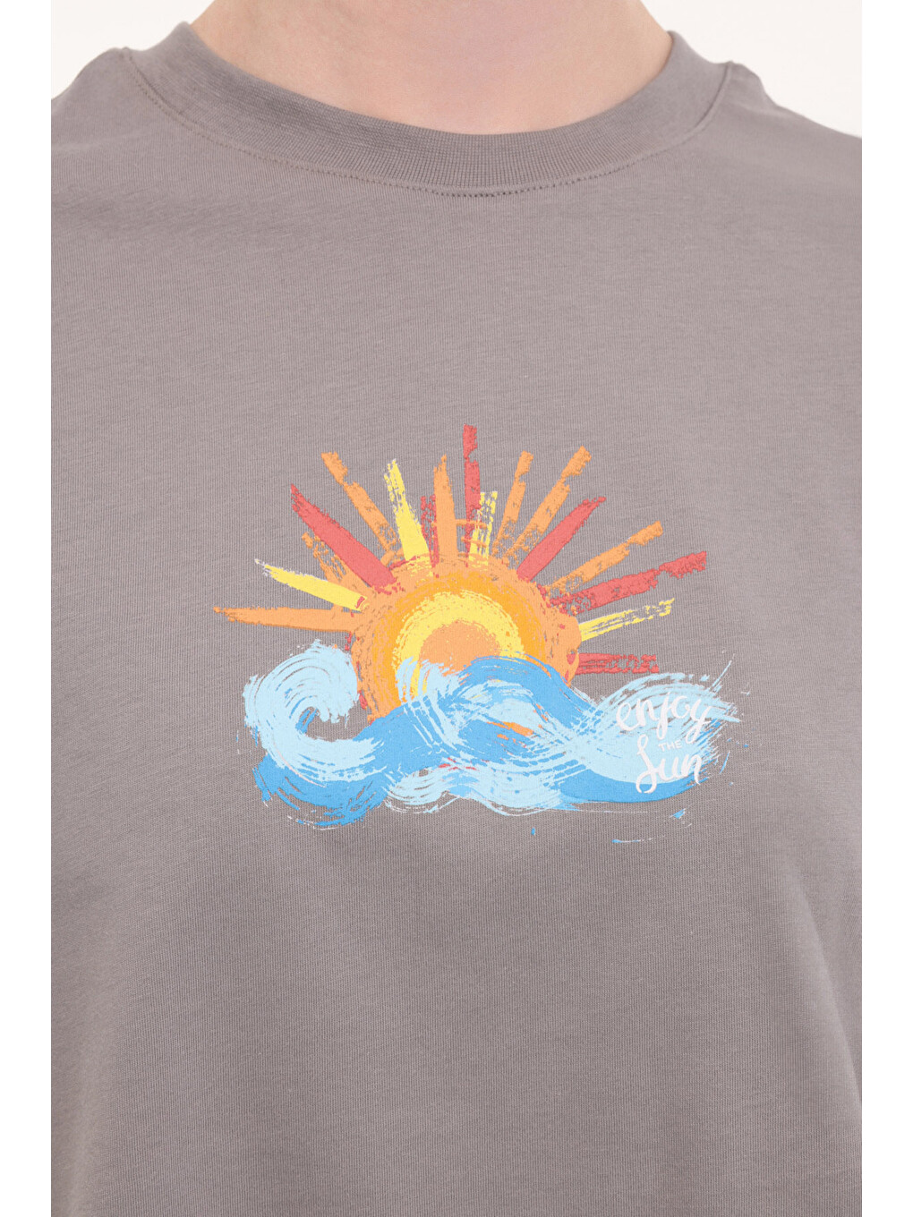 Wl Anwar 11bt264 5fx Gri Kadın Kısa Kol T-shirt-3