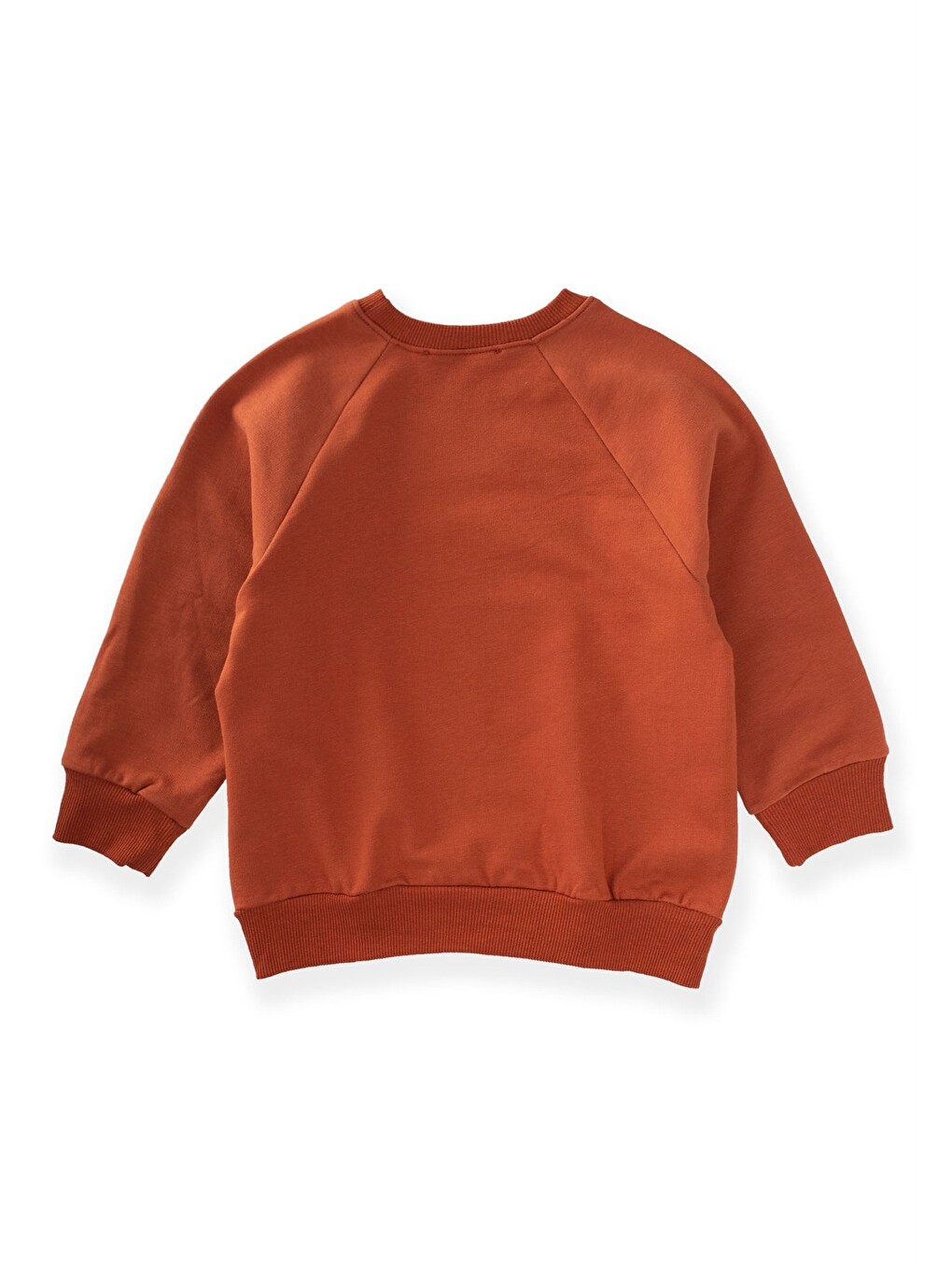Kahverengi Dağ Baskılı Sweatshirt 3-9 Yaş Koyu Kiremit-2