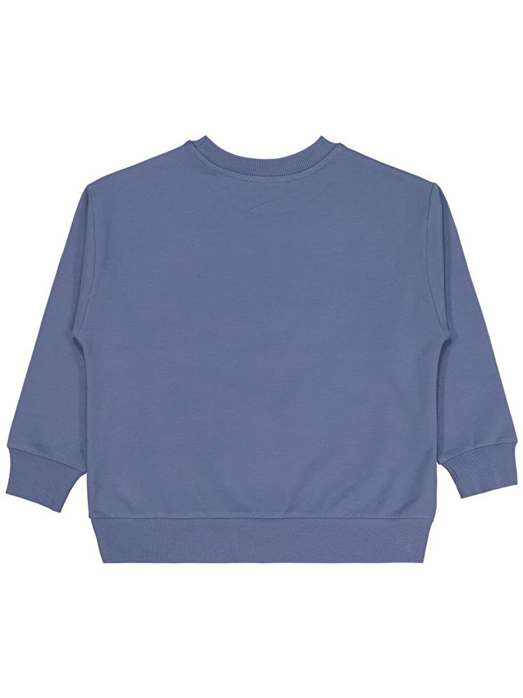 İndigo Boys No Etiketli 6-9 Yaş Sweatshırt - Mavi8-9 Yaş-1